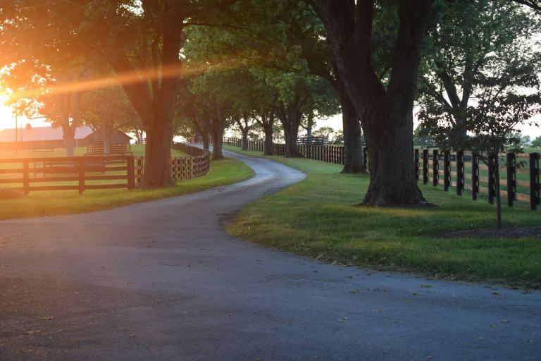 Tree-lined drive between plank horse fences at golden hour in the Middle Tennessee countryside